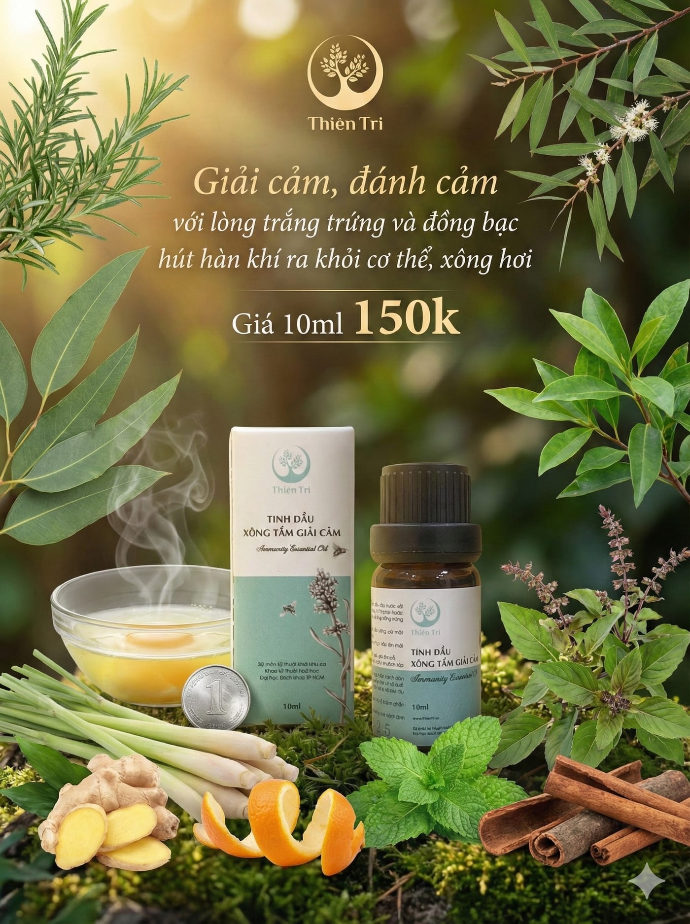 Xông Giải Cảm